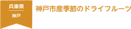 兵庫県 神戸 神戸市産季節のドライフルーツ